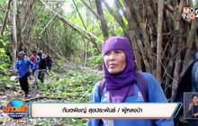 พบแล้วชาวบ้านหลงป่า 2 วันไปหาเห็ด