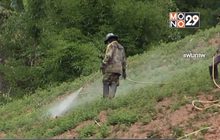 ลุ้น! แบน 3 สารเคมีอันตราย เลื่อนหรือไม่