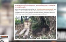 MTHAI update 30-01-61