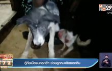 กู้ภัยเมืองนครศรีฯ ช่วยลูกหมาติดซอกหิน