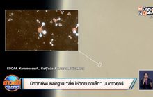 นักวิทย์พบหลักฐาน “สิ่งมีชีวิตขนาดเล็ก” บนดาวศุกร์