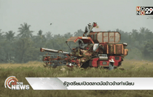 รัฐเตรียมเปิดตลาดนัดข้าวข้างทำเนียบ