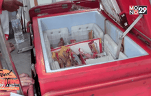 โจรขโมยไอศกรีม โผล่เชียงใหม่