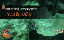 สถานการณ์ปะการังฟอกขาวเกาะมันใน-เสม็ด
