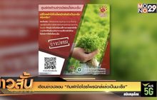 เตือนข่าวปลอม “กินผักไฮโดรโพรนิกส์แล้วเป็นมะเร็ง”
