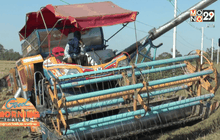 บุรีรัมย์เปิดตลาดนัดรับซื้อข้าวเปลือก