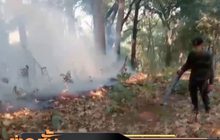 เชียงใหม่คุณภาพอากาศแย่ที่สุดในโลก