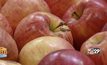 สตาร์ทอัพผุดไอเดียเจ๋ง ชุบชีวิต “แอปเปิ้ล” ลดขยะอาหาร