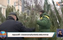 กรุงมอสโก เปิดตลาดขายต้นคริสต์มาสรับเทศกาล