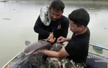 ชาวบ้านลักลอบจับปลา อ.สังขละบุรี จ.กาญจนบุรี