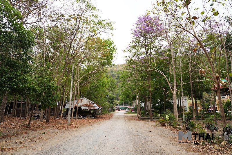 ทางเดิน