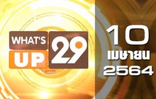 What’s up 29 10-04-64