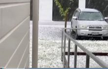 นิวซีแลนด์เผชิญพายุลูกเห็บพัดถล่ม