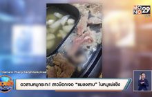 อวสานหมูกระทะ! สาวช็อกเจอ “แมลงสาบ” ในหมูแช่แข็ง