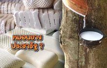 หมอนยางประชารัฐ ? 24-12-62