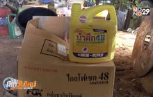 ชาวไร่อ้อยเรียกร้องทบทวนแบน 3 สารเคมีเกษตร