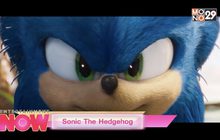 Sonic The Hedgehog