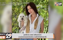 มูลนิธิเดอะวอยซ์ (เสียงจากเรา)  ชวนช้อปคอลเลกชั่นพิเศษ รายได้เพื่อสัตว์ยากไร้