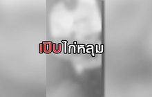 เปิบไก่หลุม 11-08-63