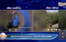 ยุติค้นหาทารกร้องกลางป่ากก ยันชัดเป็นเสียงนกอีโก้ง