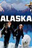 Alaska อลาสก้า หมีน้อย หัวใจมหึมา