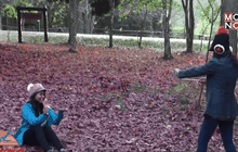 นักท่องเที่ยวแห่ชมใบเมเปิ้ลสีแดงสด ที่ภูหินร่องกล้า