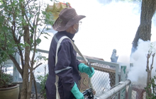 ​เฝ้าระวังโรคไข้เลือดออก แพร่ระบาด กทม.