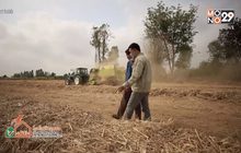 วัสดุเหลือใช้ สร้างมูลค่าจากโรงไฟฟ้าชีวมวล