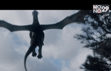 คอหนังเตรียมต้อนรับมังกรขนปุยพันธุ์ใหม่ ใน Pete’s Dragon