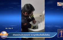 เจ้าของบ้านนั่งปลดทุกข์ ผวางูเหลือมโผล่ในโถส้วม