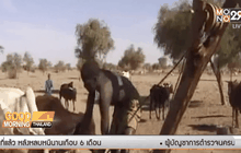 17 มิ.ย. วันต่อสู้กับภาวะทะเลทรายและความแห้งแล้งโลก