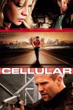 Cellular สัญญาณเป็น สัญญาณตาย