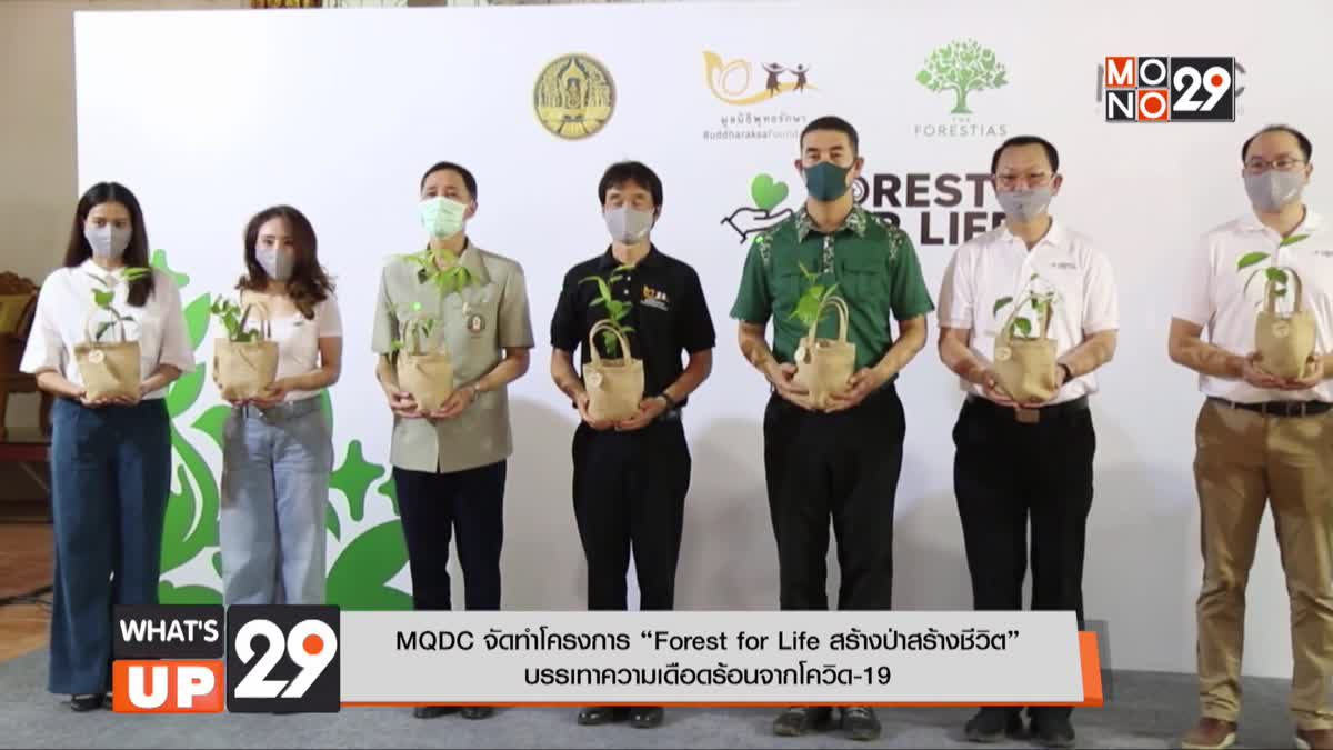 MQDC จัดทำโครงการ “Forest for Life สร้างป่าสร้างชีวิต” บรรเทาความเดือดร้อนจากโควิด-19