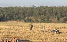 ภาคเหนือภัยแล้งขยายวงกว้าง