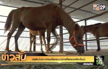 ปศุสัตว์ประกาศเขตโรคระบาดกาฬโรคแอฟริกาในม้า