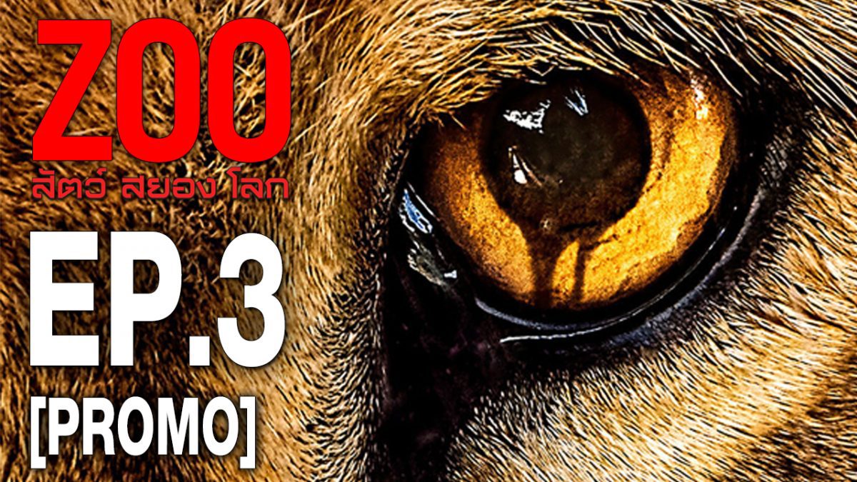 Zoo สัตว์ สยอง โลก ปี 2 EP.03 [PROMO]