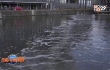 เนเธอร์แลนด์สร้างอุปกรณ์ดักขยะในแม่น้ำ