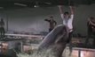 หนังฉลามพันธุ์โหดที่คุณอาจไม่เคยดูมาก่อน!