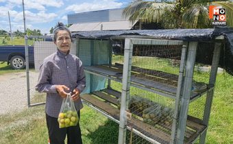 ไอเดียเก๋! ชาวสวนสุโขทัยทำกรงขายผลไม้ ให้ลูกค้าวางเงินหยิบของไปได้เลย