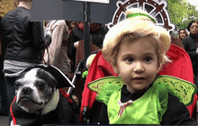 งานพาเหรดฮัลโลวีนสุนัขในสหรัฐฯ