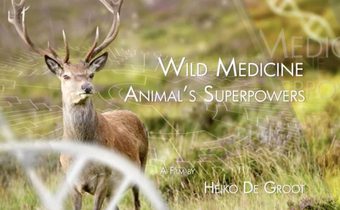 Wild Medicine: Animals’ Superpowers
