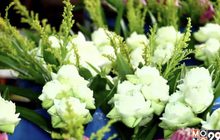 ดอกบัว จ.นครสวรรค์ ขาดตลาด