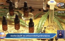 จ่อแก้ระเบียบให้ รพ.สกัดและผลิตกัญชารักษาผู้ป่วย