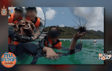 แชร์ว่อน! นักท่องเที่ยวจับหอยเม่น-หอยมือเสือ ถ่ายรูปเล่น