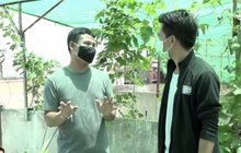 สวนผักคนเมือง สู่กลุ่มปันอาหารปันชีวิต สู้โควิด-19