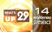 What’s up 29 14-11-60