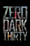 Zero Dark Thirty ยุทธการถล่มบินลาเดน
