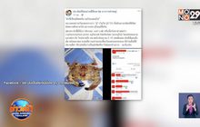 อ.เจษฎา เตือนปูพิษกินไม่ได้เสี่ยงเสียชีวิต