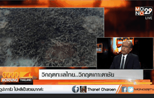 People Share : วิกฤต!ทะเลไทย…วิกฤต!เกาะตาชัย