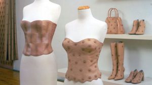 แฟชั่น เลียนแบบ หัวนมมนุษย์